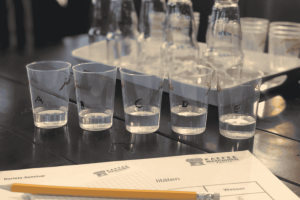 Sensorikbecher für Sensoriktest im Baristaseminar,
